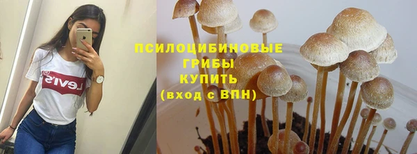 тгк Алексин